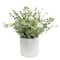 9.25" Premade Eucalyptus in Dotted Ceramic Pot by Ashland®